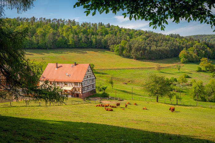 propriedade rural